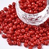 6/0 Glass Seed Beads SEED-S058-A-F433-1