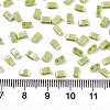 FGB 2-Hole Glass Seed Beads SEED-S031-M-SH124-2