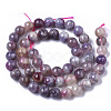 Natural Purple Red Tourmaline  Beads Strands G-N327-02C-01-2