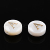 Natural Freshwater Shell Beads SHEL-N036-01A-3