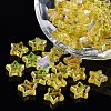 Eco-Friendly Transparent Acrylic Beads TACR-YW0001-01C-2