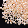 (Repacking Service Available) Glass Seed Beads SEED-C020-4mm-147-3