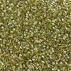 MIYUKI Delica Beads X-SEED-J020-DB0124-3