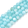 Natural Freshwater Shell Beads Strands X-BSHE-T009A-01E-1
