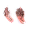 Chicken Feather Costume Accessories X-FIND-Q460-05-3