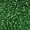 6/0 Round Silver Lined Round Hole Glass Seed Beads X-SEED-A005-4mm-27-2