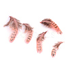 Chicken Feather Costume Accessories X-FIND-Q460-05-1