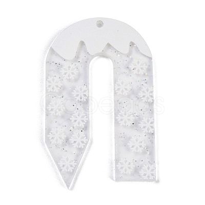 Christmas Theme Acrylic Pendants OACR-Q100-06B-1