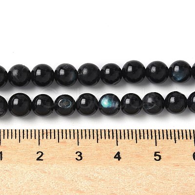 Natural Black Lip Shell Beads Strands SSHEL-C013-01A-1