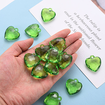 Transparent Acrylic Pendants TACR-T024-03B-925-1
