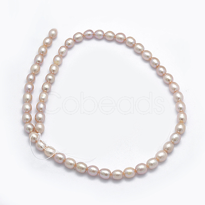 Natural Cultured Freshwater Pearl Beads Strands PEAR-K003-23A-01-1