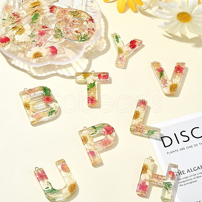 26Pcs 26 Styles Transparent Epoxy Resin Pendants CRES-YW0002-28D-1
