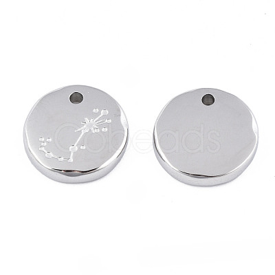 Non-Tarnish 316 Surgical Stainless Steel Charms STAS-S116-418J-P-1
