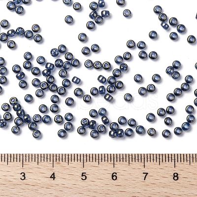 MIYUKI Round Rocailles Beads X-SEED-G008-RR2447-1