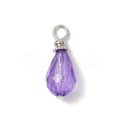 Acrylic with Iron Pendants PALLOY-JF03685-1