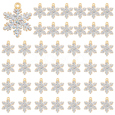 DICOSMETIC 40Pcs Alloy Rhinestone Pendants ALRI-DC0001-06-1