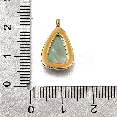 Natural Black Lip Shell Pendants STAS-F318-15G-1