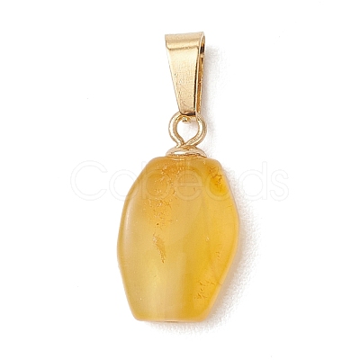 Gradient Color Natural Amber Pendants PALLOY-JF04930-02-1