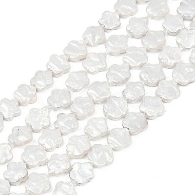 Electroplate Shell Pearl Beads Strands BSHE-Z009-07-01-1