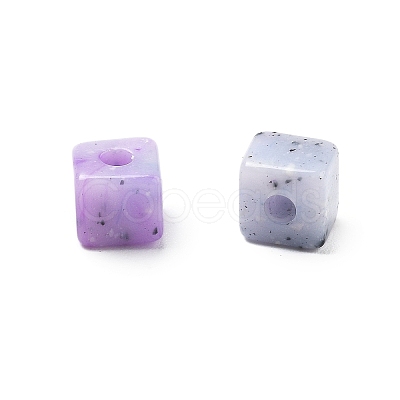 Transparent Acrylic Beads OACR-H044-04A-05-1