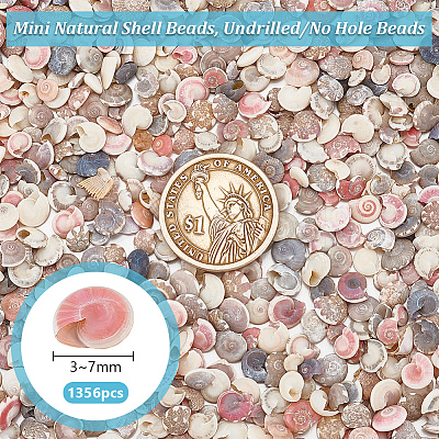 Mini Natural Shell Beads BSHE-PH0001-57B-1
