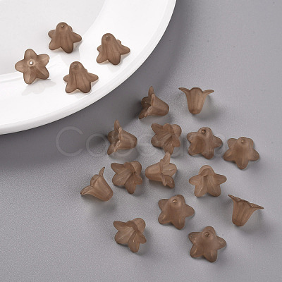Transparent Acrylic Beads PLF018-14-1