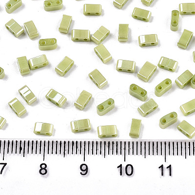 FGB 2-Hole Glass Seed Beads SEED-S031-M-SH124-1