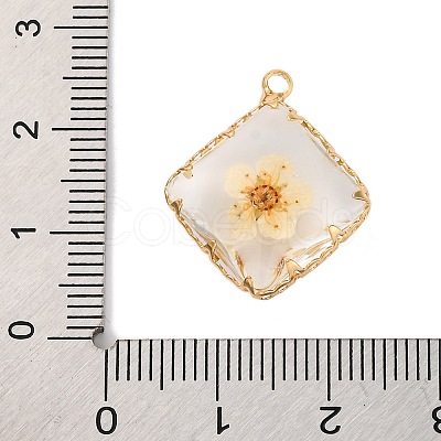 Brass Resin Pendants KK-U042-16G-01-1