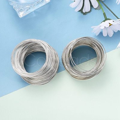 Steel Memory Wire TWIR-ZX005-1.0mm-P-NF-1