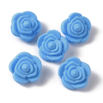 Food Grade Eco-Friendly Silicone Beads FIND-WH0125-43B-1