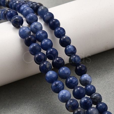 Natural Sodalite Round Bead Strands X-G-P072-27-6mm-1