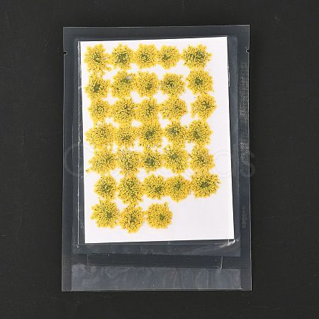 Pressed Dried Flowers DIY-K032-58L-1
