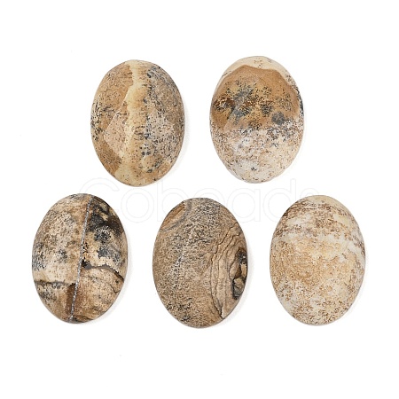 Natural Picture Jasper Cabochons G-Q186-01D-1