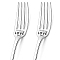 Word Pattern Stainless Steel Fork, Black, 20.3x2.4x0.2~0.3cm, Packing Box: 27.5x9.3x3.6cm, 2pcs/set