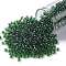 TOHO Round Seed Beads, Japanese Seed Beads, (242) Inside Color Jonquil/Emerald Lined, 8/0, 3mm, Hole: 1mm, about 222pcs/10g