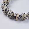Natural Dalmation Jasper Beads Strands G-G515-10mm-06-3