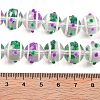 Glass with Enamel Beads Strands GLAA-M047-01D-4