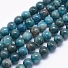 Natural Apatite Beads G-E481-05-12mm-1