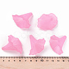 Transparent Acrylic Beads X-BSF796-C10-6