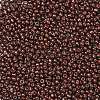 (Repacking Service Available) Baking Paint Glass Seed Beads SEED-C024-C-K18-2