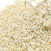 TOHO 11/0 Round Beads X-SEED-TR11-0123L-1