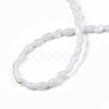Natural Freshwater Shell Beads Strands SHEL-N003-25-A01-4