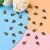 Tibetan Style Alloy Charms MLF0339Y-NF-5