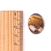 Natural Tiger Eye Cabochons PW-WGEFD9A-02-3