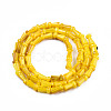 Natural Freshwater Shell Beads Strands SHEL-N026-213-B05-2