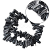 1 Strand Dyed Natural Trochus Shell Beads Strands SSHEL-PA0001-01C-7
