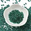 Glass Seed Beads SEED-H002-C-A050-2