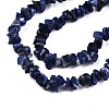 Natural Sodalite Beads Strands X-G-S364-080-3