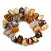 Natural Yellow Botswana Agate Beads Strands G-F796-D01-01-3