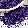 MIYUKI Round Rocailles Beads X-SEED-G009-RR0414-1
